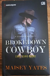 Brokedown Cowboy : Lara sang koboi